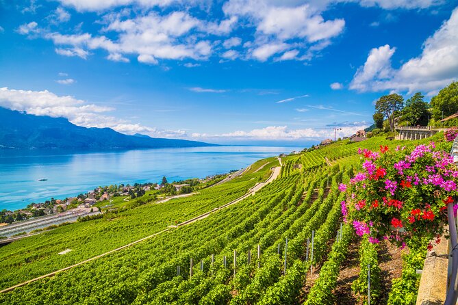 Traslado privado (SKI) Zurich a Montreux
